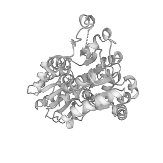 41648_8tvq_M_v1-0
Cryo-EM structure of CPD stalled 10-subunit Pol II in complex with Rad26