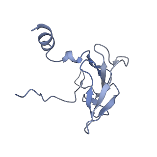 41649_8tvr_B_v1-1
In situ cryo-EM structure of bacteriophage P22 tail hub protein: tailspike protein complex at 2.8A resolution