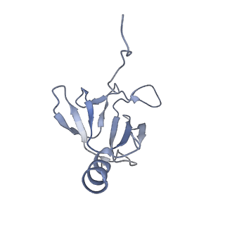 41649_8tvr_D_v1-1
In situ cryo-EM structure of bacteriophage P22 tail hub protein: tailspike protein complex at 2.8A resolution