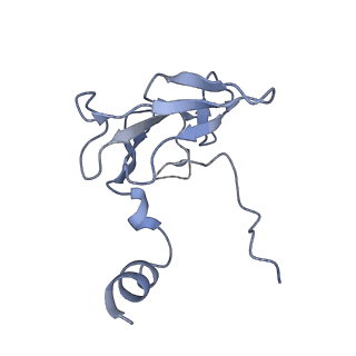 41649_8tvr_E_v1-1
In situ cryo-EM structure of bacteriophage P22 tail hub protein: tailspike protein complex at 2.8A resolution