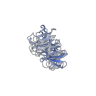 41649_8tvr_G_v1-1
In situ cryo-EM structure of bacteriophage P22 tail hub protein: tailspike protein complex at 2.8A resolution
