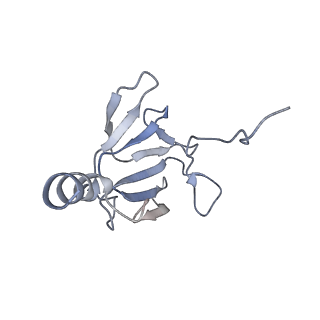 41649_8tvr_H_v1-1
In situ cryo-EM structure of bacteriophage P22 tail hub protein: tailspike protein complex at 2.8A resolution