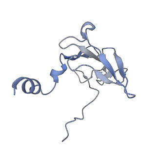 41649_8tvr_I_v1-1
In situ cryo-EM structure of bacteriophage P22 tail hub protein: tailspike protein complex at 2.8A resolution