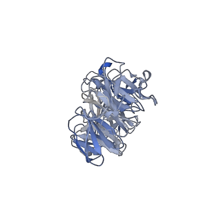 41649_8tvr_K_v1-1
In situ cryo-EM structure of bacteriophage P22 tail hub protein: tailspike protein complex at 2.8A resolution