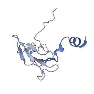 41649_8tvr_M_v1-1
In situ cryo-EM structure of bacteriophage P22 tail hub protein: tailspike protein complex at 2.8A resolution