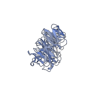 41649_8tvr_O_v1-1
In situ cryo-EM structure of bacteriophage P22 tail hub protein: tailspike protein complex at 2.8A resolution