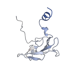 41649_8tvr_Q_v1-1
In situ cryo-EM structure of bacteriophage P22 tail hub protein: tailspike protein complex at 2.8A resolution