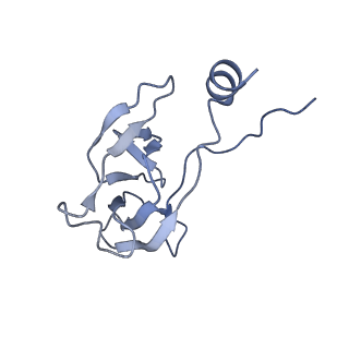 41649_8tvr_R_v1-1
In situ cryo-EM structure of bacteriophage P22 tail hub protein: tailspike protein complex at 2.8A resolution