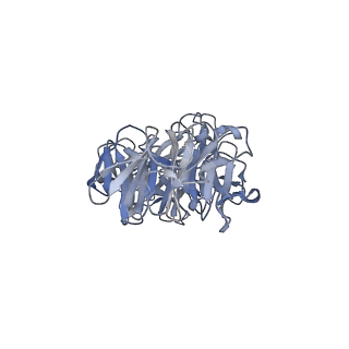 41649_8tvr_S_v1-1
In situ cryo-EM structure of bacteriophage P22 tail hub protein: tailspike protein complex at 2.8A resolution