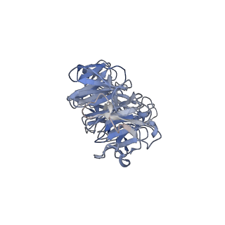 41649_8tvr_T_v1-1
In situ cryo-EM structure of bacteriophage P22 tail hub protein: tailspike protein complex at 2.8A resolution
