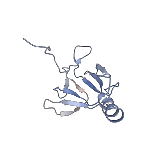 41649_8tvr_V_v1-1
In situ cryo-EM structure of bacteriophage P22 tail hub protein: tailspike protein complex at 2.8A resolution