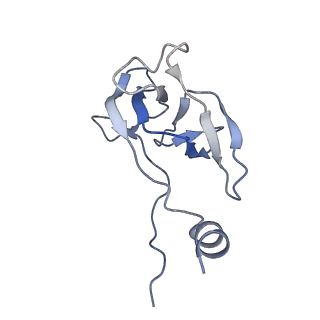 41649_8tvr_X_v1-1
In situ cryo-EM structure of bacteriophage P22 tail hub protein: tailspike protein complex at 2.8A resolution