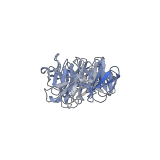 41649_8tvr_Y_v1-1
In situ cryo-EM structure of bacteriophage P22 tail hub protein: tailspike protein complex at 2.8A resolution