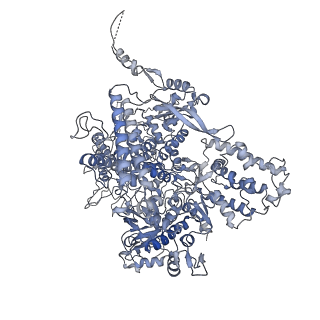41650_8tvs_A_v1-0
Cryo-EM structure of backtracked Pol II in complex with Rad26