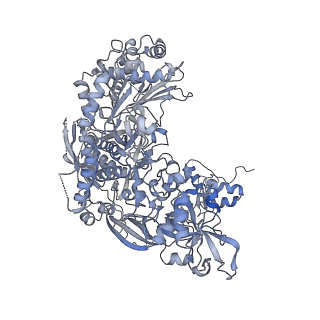 41650_8tvs_B_v1-0
Cryo-EM structure of backtracked Pol II in complex with Rad26