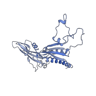 41650_8tvs_C_v1-0
Cryo-EM structure of backtracked Pol II in complex with Rad26