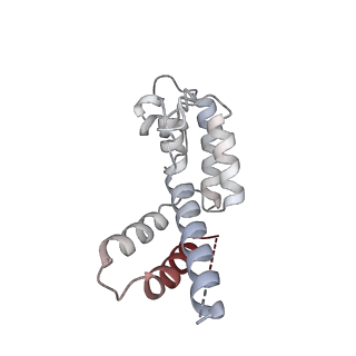 41650_8tvs_D_v1-0
Cryo-EM structure of backtracked Pol II in complex with Rad26
