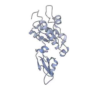 41650_8tvs_E_v1-0
Cryo-EM structure of backtracked Pol II in complex with Rad26