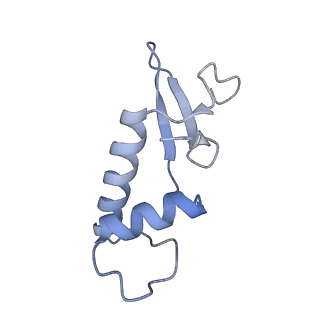 41650_8tvs_F_v1-0
Cryo-EM structure of backtracked Pol II in complex with Rad26