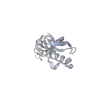 41650_8tvs_G_v1-0
Cryo-EM structure of backtracked Pol II in complex with Rad26