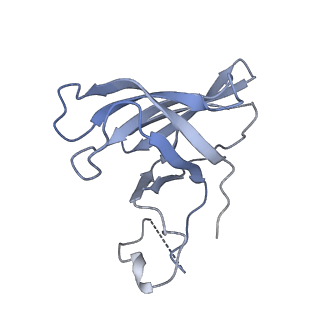 41650_8tvs_H_v1-0
Cryo-EM structure of backtracked Pol II in complex with Rad26