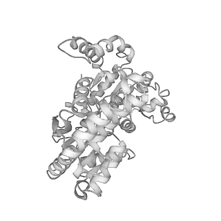 41650_8tvs_M_v1-0
Cryo-EM structure of backtracked Pol II in complex with Rad26