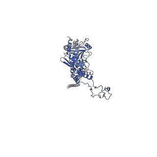 41651_8tvu_A_v1-1
In situ cryo-EM structure of bacteriophage P22 portal protein: head-to-tail protein complex at 3.0A resolution