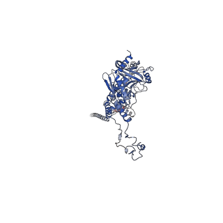 41651_8tvu_B_v1-1
In situ cryo-EM structure of bacteriophage P22 portal protein: head-to-tail protein complex at 3.0A resolution