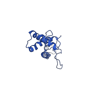 41651_8tvu_C_v1-1
In situ cryo-EM structure of bacteriophage P22 portal protein: head-to-tail protein complex at 3.0A resolution