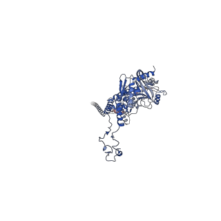 41651_8tvu_D_v1-1
In situ cryo-EM structure of bacteriophage P22 portal protein: head-to-tail protein complex at 3.0A resolution