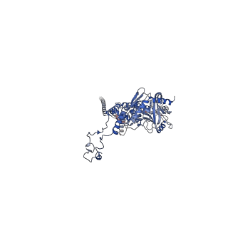 41651_8tvu_F_v1-1
In situ cryo-EM structure of bacteriophage P22 portal protein: head-to-tail protein complex at 3.0A resolution