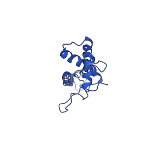 41651_8tvu_G_v1-1
In situ cryo-EM structure of bacteriophage P22 portal protein: head-to-tail protein complex at 3.0A resolution