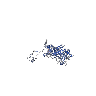 41651_8tvu_H_v1-1
In situ cryo-EM structure of bacteriophage P22 portal protein: head-to-tail protein complex at 3.0A resolution
