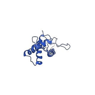 41651_8tvu_K_v1-1
In situ cryo-EM structure of bacteriophage P22 portal protein: head-to-tail protein complex at 3.0A resolution