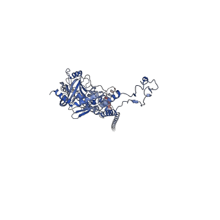 41651_8tvu_N_v1-1
In situ cryo-EM structure of bacteriophage P22 portal protein: head-to-tail protein complex at 3.0A resolution