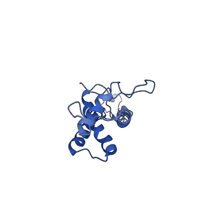 41651_8tvu_O_v1-1
In situ cryo-EM structure of bacteriophage P22 portal protein: head-to-tail protein complex at 3.0A resolution