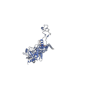 41651_8tvu_P_v1-1
In situ cryo-EM structure of bacteriophage P22 portal protein: head-to-tail protein complex at 3.0A resolution