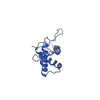 41651_8tvu_S_v1-1
In situ cryo-EM structure of bacteriophage P22 portal protein: head-to-tail protein complex at 3.0A resolution