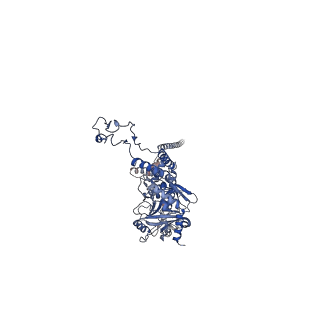 41651_8tvu_W_v1-1
In situ cryo-EM structure of bacteriophage P22 portal protein: head-to-tail protein complex at 3.0A resolution