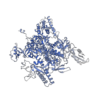 41653_8tvw_A_v1-0
Cryo-EM structure of CPD-stalled Pol II (conformation 1)