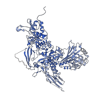 41653_8tvw_B_v1-0
Cryo-EM structure of CPD-stalled Pol II (conformation 1)