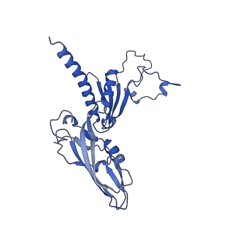 41653_8tvw_C_v1-0
Cryo-EM structure of CPD-stalled Pol II (conformation 1)
