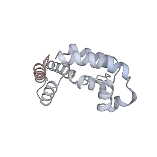 41653_8tvw_D_v1-0
Cryo-EM structure of CPD-stalled Pol II (conformation 1)