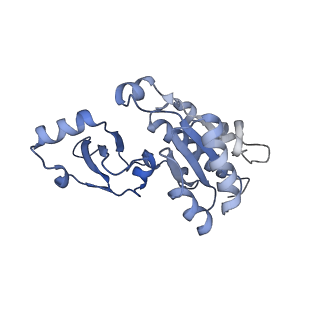 41653_8tvw_E_v1-0
Cryo-EM structure of CPD-stalled Pol II (conformation 1)