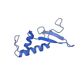 41653_8tvw_F_v1-0
Cryo-EM structure of CPD-stalled Pol II (conformation 1)