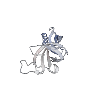 41653_8tvw_G_v1-0
Cryo-EM structure of CPD-stalled Pol II (conformation 1)