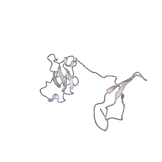 41653_8tvw_I_v1-0
Cryo-EM structure of CPD-stalled Pol II (conformation 1)