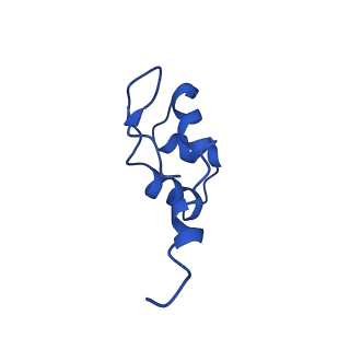 41653_8tvw_J_v1-0
Cryo-EM structure of CPD-stalled Pol II (conformation 1)