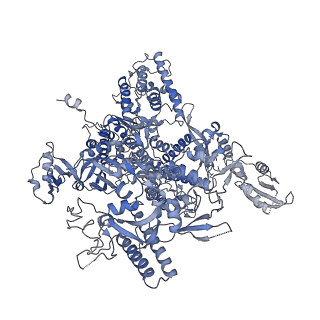 41654_8tvx_A_v1-0
Cryo-EM structure of CPD-stalled Pol II (Conformation 2)