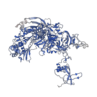41655_8tvy_B_v1-0
Cryo-EM structure of CPD lesion containing RNA Polymerase II elongation complex with Rad26 and Elf1 (closed state)